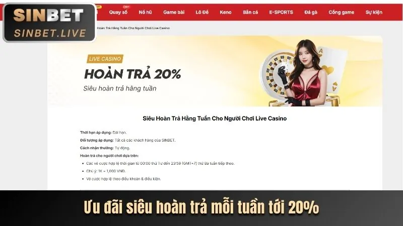 Khuyến mãi lễ tết